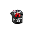 Mystery Gift