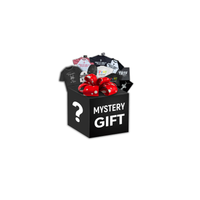 Mystery Gift